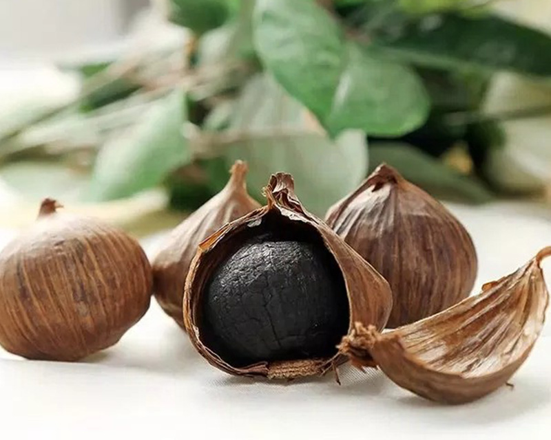 Công dụng của tỏi đen trong đời sống sức khỏe
